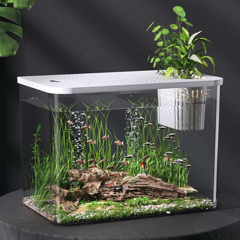 Planted Aquarium For Goldfish - Plastic Aquarium With Lid Clear Mini