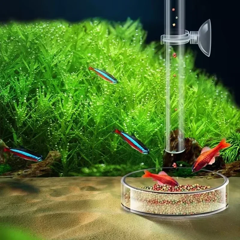 Aquarium Glass Feeding Tube &  - Planted Aquarium Youtube 评论和价格