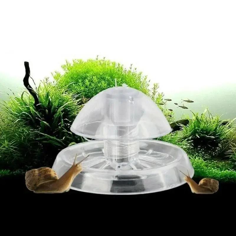 2026 New 6/8CM Clear Plastic S - Aquarium Planted Fish Tank 评论和价格
