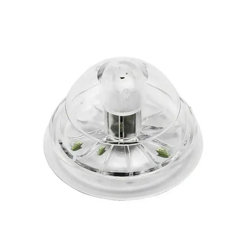 2026 New 6/8CM Clear Plastic S - Aquarium Planted Fish Tank 评论和价格