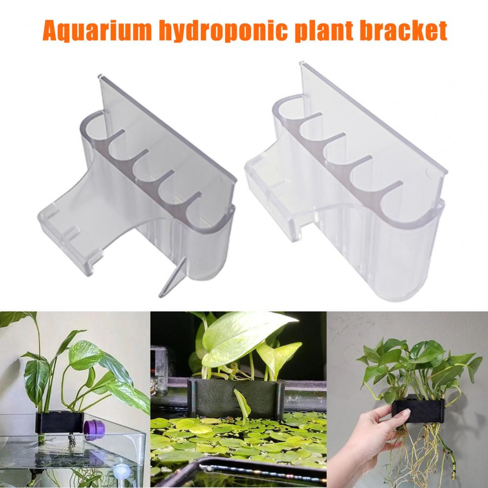 4.5/6.5cm Aquarium Plant Holde - Aquarium Planted Fish Tank 评论和价格
