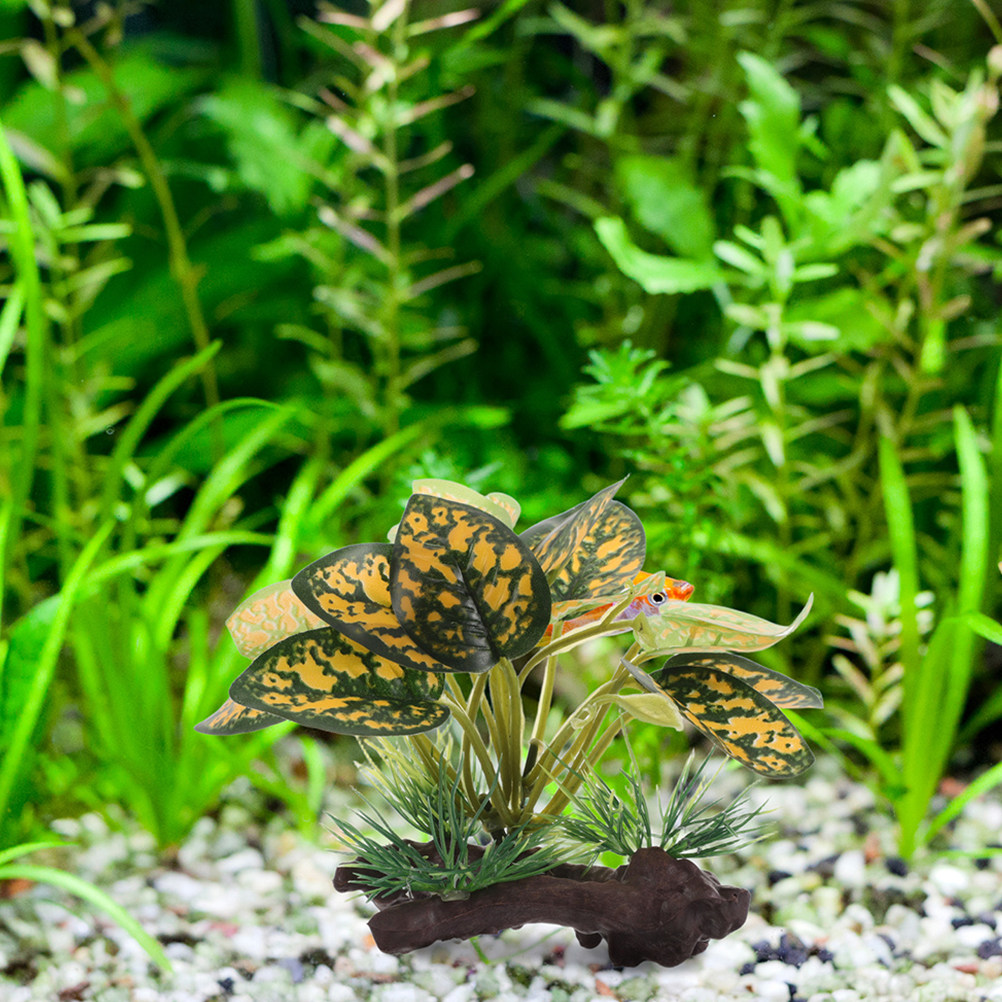 2Pcs Realistic Artificial Aqua - Planted Aquarium For Goldfish 评论和价格