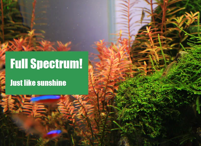 Chihiros C Series ADA Style Pl - Planted Aquarium Pendant Light 评论和价格