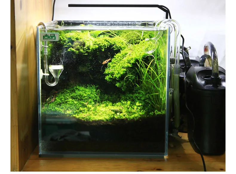 Chihiros C Series ADA Style Pl - Planted Aquarium Pendant Light 评论和价格