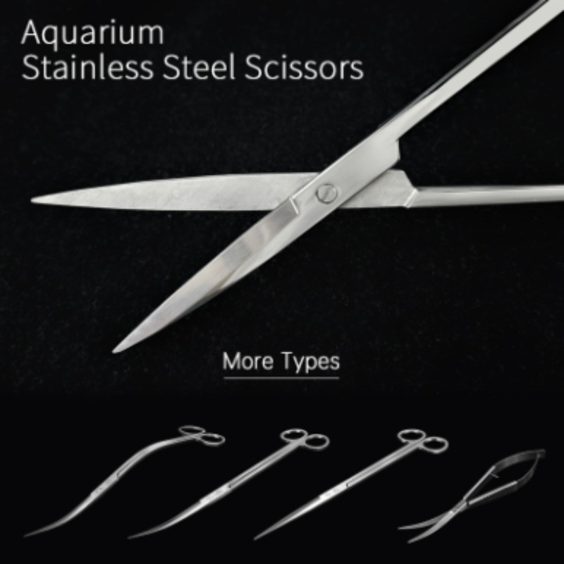 Week Aqua Stainless Steel Aqua - Aquarium Plant Iron 评论和价格