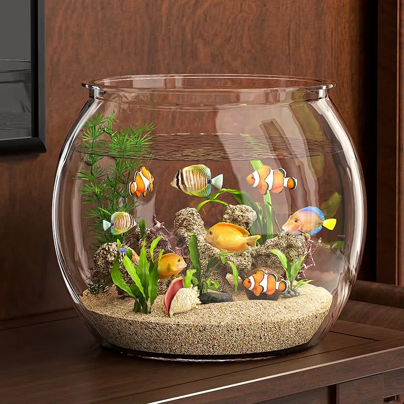 High Quality Compact Clear Pla - Planted Aquarium For Goldfish 评论和价格