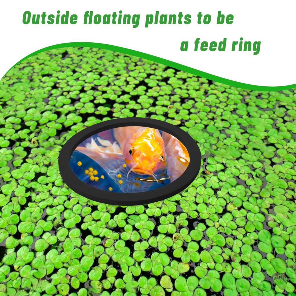 Eva Foam Floating Ring for Fis - Planted Aquarium For Goldfish 评论和价格