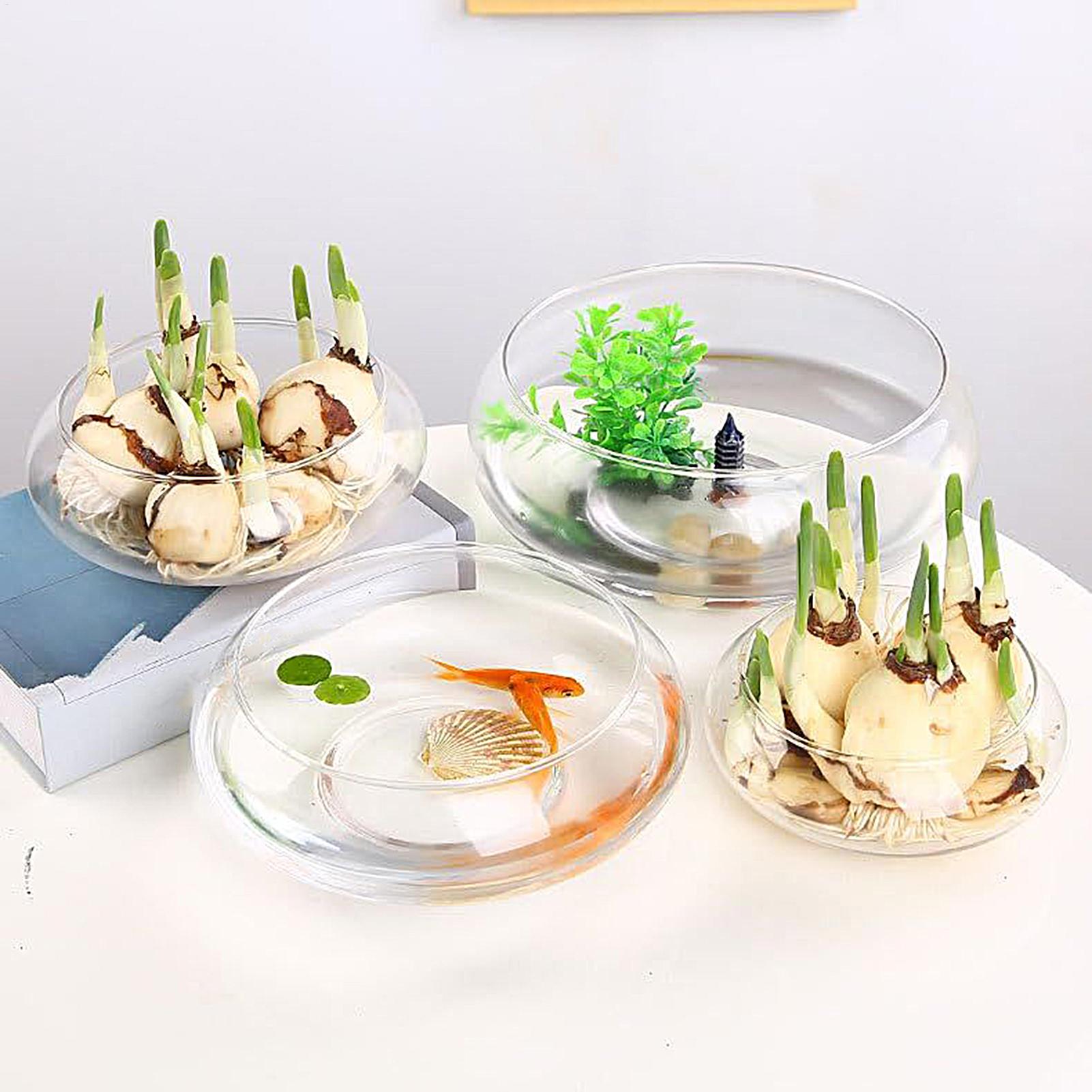 Fish Glass Bowl Glass Large Hy - Planted Aquarium For Goldfish 评论和价格