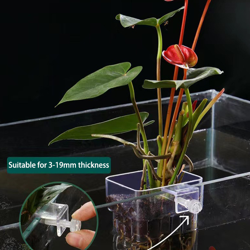 Multifunctional Fish Aquarium  - Aquarium Planted Fish Tank 评论和价格