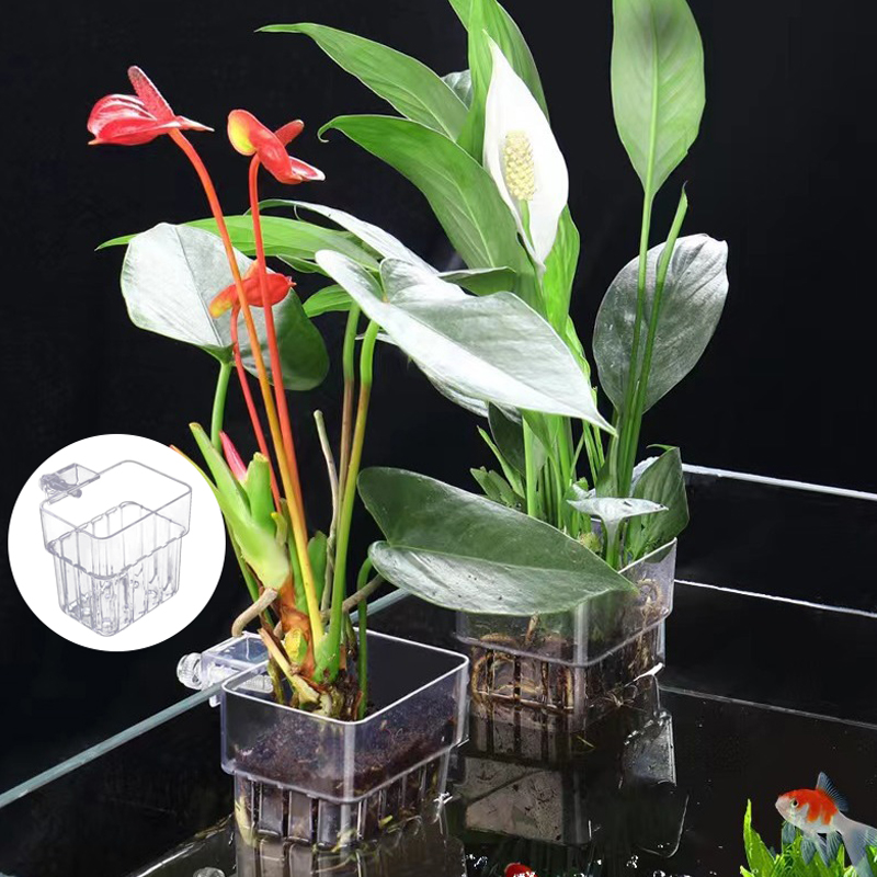 Multifunctional Fish Aquarium  - Aquarium Planted Fish Tank 评论和价格