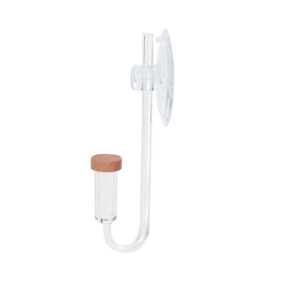 Acrylic Mini Fish Tank Live Pl - Aquarium Planted Fish Tank 评论和价格