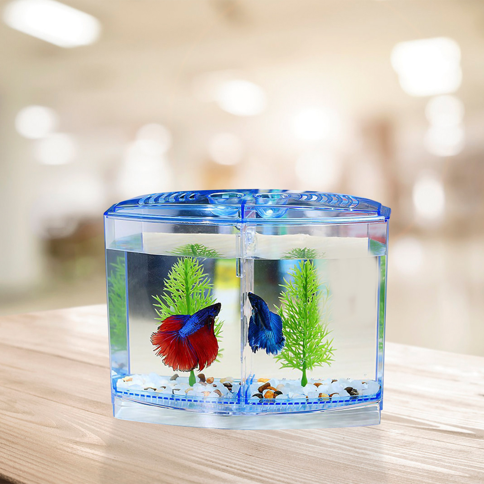 1Set Elegant Transparent Acryl - Planted Aquarium For Goldfish 评论和价格